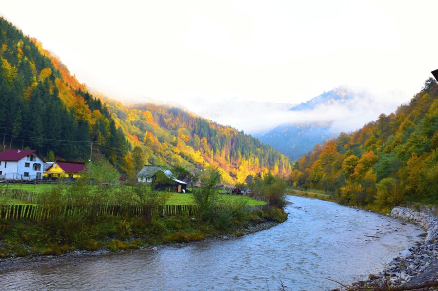 From Bucharest: Bear Sanctuary and 7 Ladders Canyon Day Trip - Why this makes a good Bucharest day trip