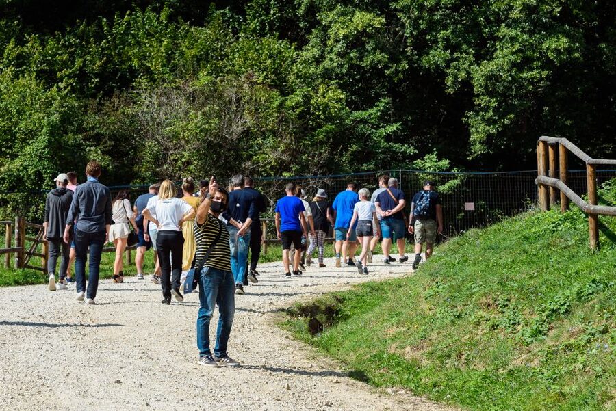 From Bucharest: Bear Sanctuary and Dracula Castle Day Tour - Starting from Bucharest with a Small Group