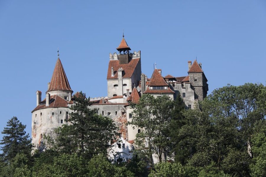 From Bucharest: Bear Sanctuary and Dracula Castle Day Tour - Who Will Enjoy This Day Trip Most?