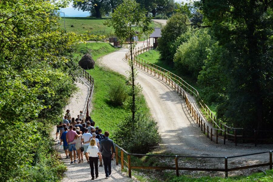 From Bucharest: Bear Sanctuary and Dracula Castle Day Tour - Should You Book This Tour?