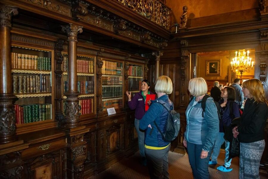 From Bucharest: Brasov Peles & Dracula's Castle Day Tour - Who should book this day trip?