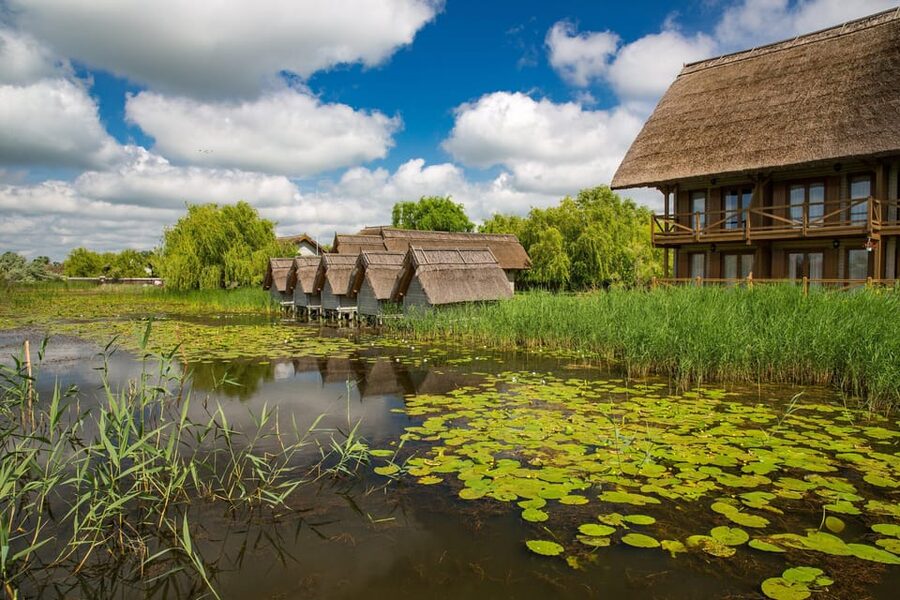 From Bucharest: Day Trip to Danube Delta - Why the Danube Delta makes such a strong day trip