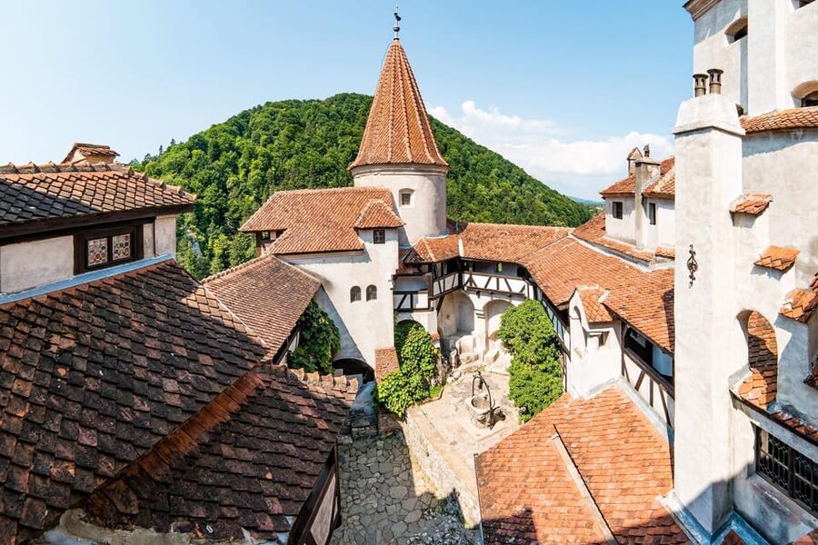From Bucharest: Day Trip to Peles, Dracula's Castle, Brasov - The return to Bucharest can be the hardest part