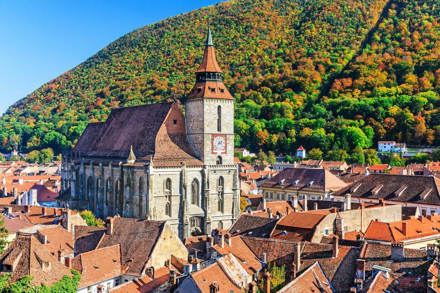 From Bucharest: Day Trip to Peles, Dracula's Castle, Brasov - Language support and the guide’s role