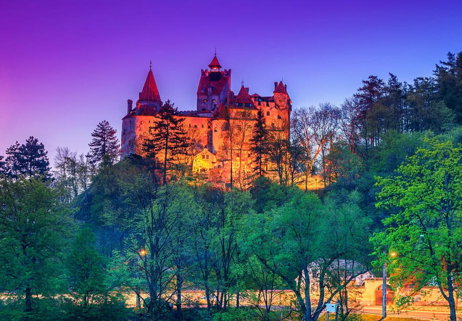 From Bucharest: Day Trip to Peles, Dracula's Castle, Brasov - Who will get the most from this tour