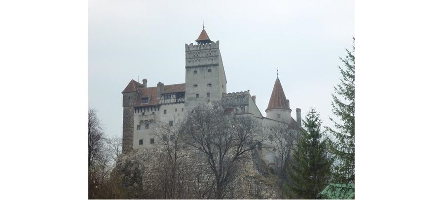 From Bucharest: Dracula Castle Day Trip - Who will enjoy this day most