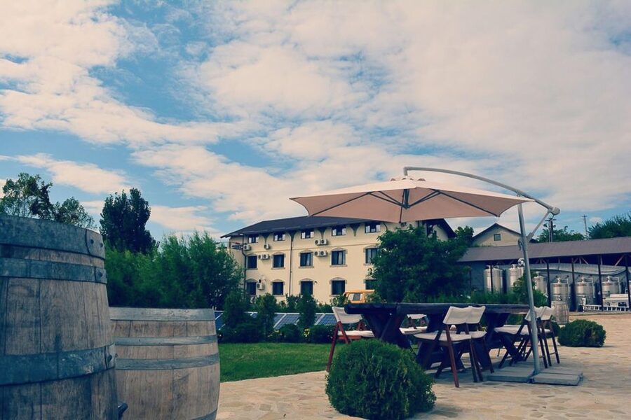 From Bucharest: Exclusive Dealu Mare Wine Tasting Tour - A Romanian lunch break, with the bill kept separate
