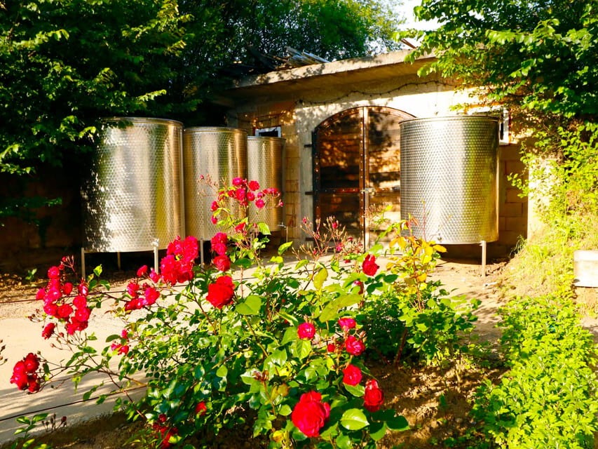 From Bucharest: Exclusive Dealu Mare Wine Tasting Tour - The Old Wine Road and the view between glasses