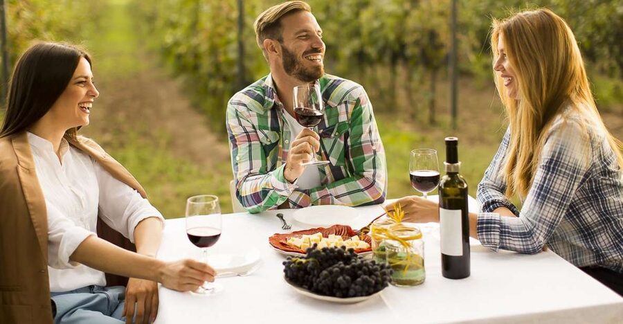 From Bucharest: Exclusive Dealu Mare Wine Tasting Tour - Who will enjoy this tour most