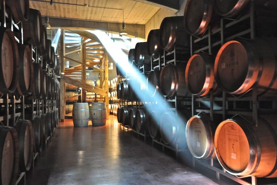 From Bucharest: Exclusive Dealu Mare Wine Tasting Tour - Practical advice before you book