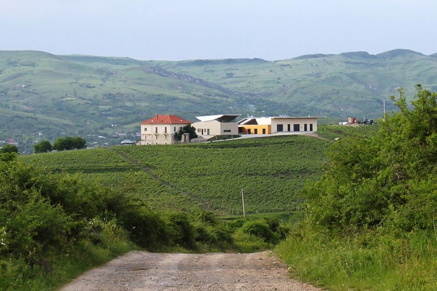 From Bucharest: Exclusive Dealu Mare Wine Tasting Tour - Leaving Bucharest in a private vehicle