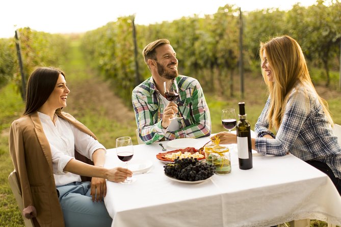 From Bucharest: Exclusive Wine Tasting Tour in Dealu Mare - Key points at a glance