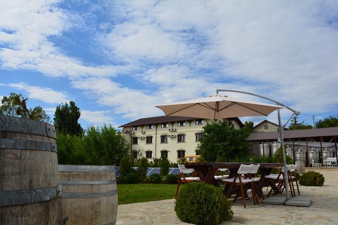 From Bucharest: Exclusive Wine Tasting Tour in Dealu Mare - 1000 Chipuri offers a more personal second stop
