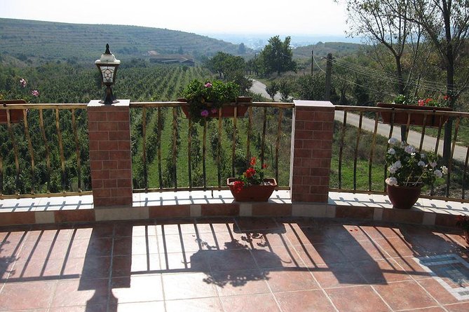 From Bucharest: Exclusive Wine Tasting Tour in Dealu Mare - Twelve wines make this more than a token tasting