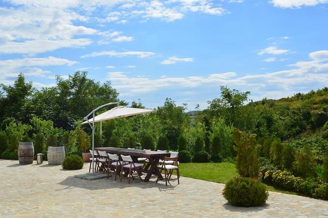 From Bucharest: Exclusive Wine Tasting Tour in Dealu Mare - Is $248.88 good value for a private day?