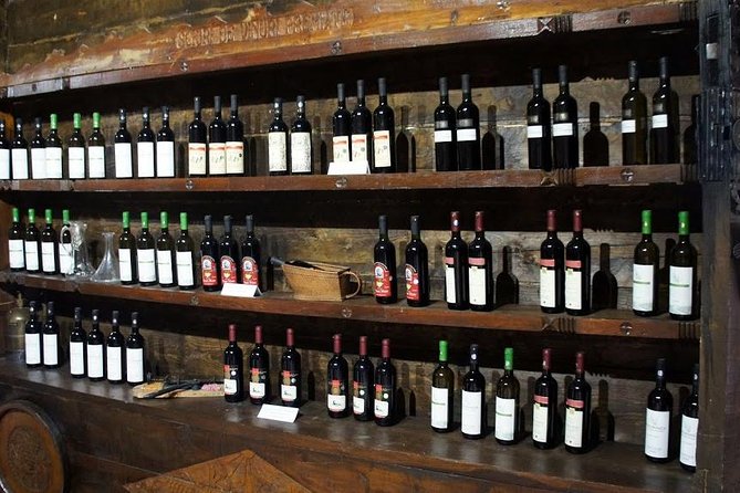 From Bucharest: Exclusive Wine Tasting Tour in Dealu Mare - Who will enjoy this Dealu Mare experience most?