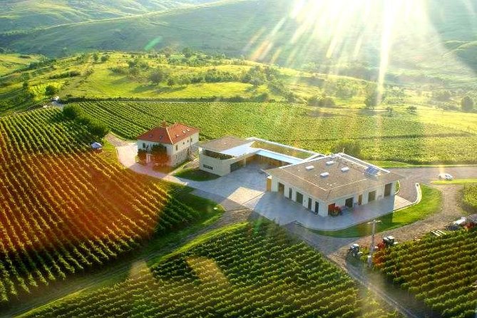 From Bucharest: Exclusive Wine Tasting Tour in Dealu Mare - Private pickup makes the long day easier
