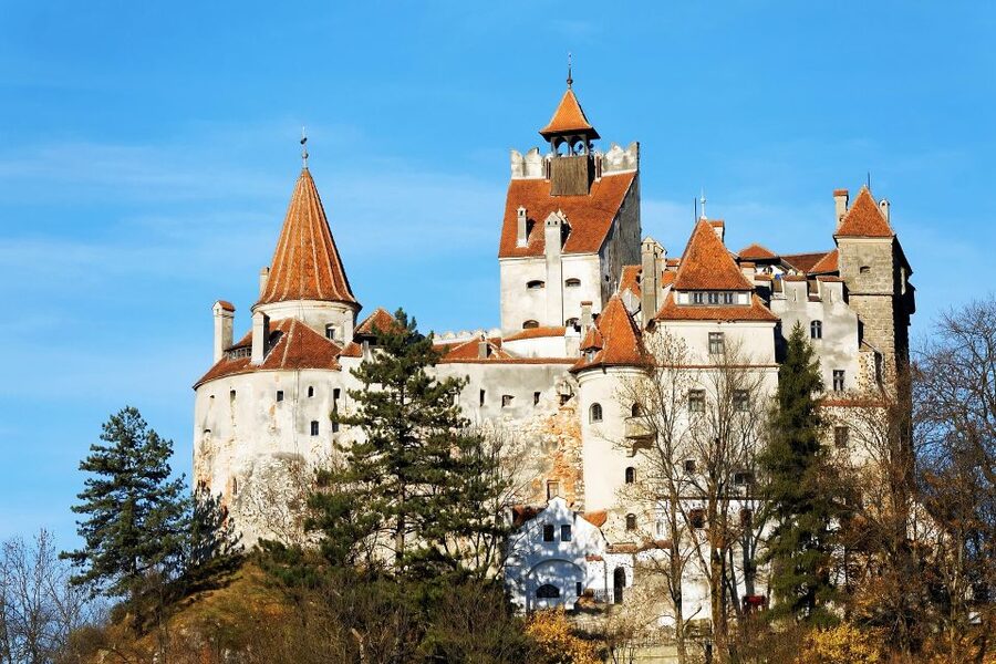 From Bucharest: Libearty Bear Sanctuary and Dracula's Castle - Why this Bucharest day trip is worth considering