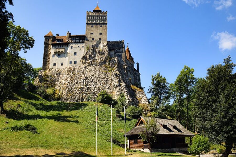 From Bucharest: Libearty Bear Sanctuary and Dracula's Castle - Meeting the rescued bears at Libearty