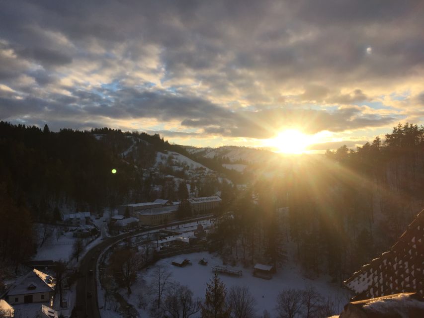 From Bucharest: Peleș and Bran Castles Private Tour - Who should book this castle day trip?