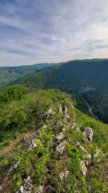 From Cluj: Gorges of Crisul Repede River - Şuncuiuş and the 75-minute zipline stop