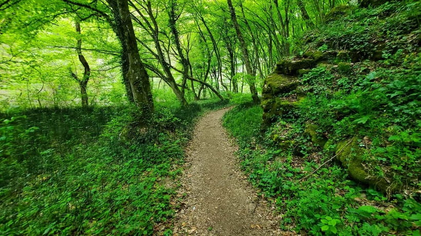 From Cluj: Gorges of Crisul Repede River - Is the $116 price good value?