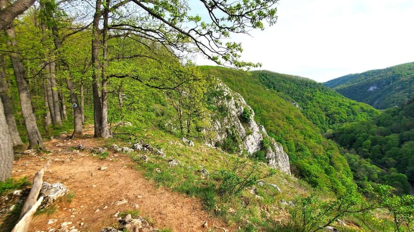 From Cluj: Gorges of Crisul Repede River - Peștera Podireului II and the limestone story