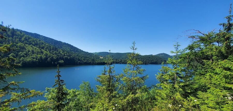From Cluj: Mountain Bike around Lake Dragan - What the $163 price gives you