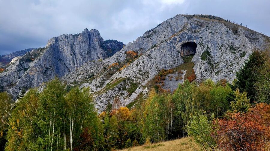From Cluj-Napoca: Apuseni Mountains Hiking Guided Day Tour - Key details before you book