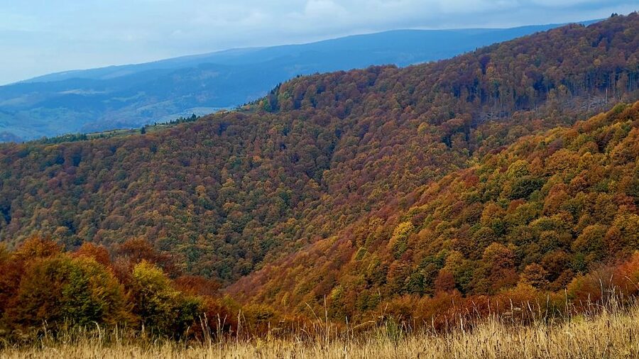 From Cluj-Napoca: Apuseni Mountains Hiking Guided Day Tour - Who should book this hike?