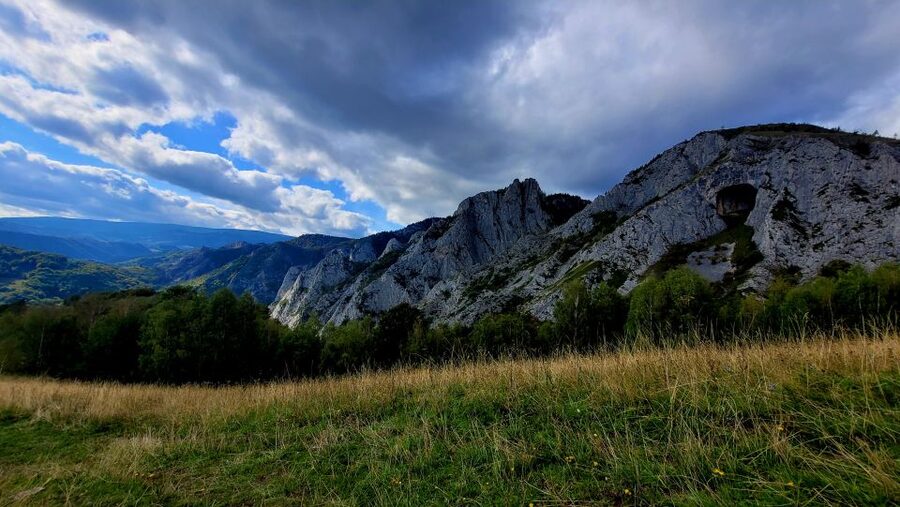 From Cluj-Napoca: Apuseni Mountains Hiking Guided Day Tour - Why Scarita-Belioara matters to plant lovers