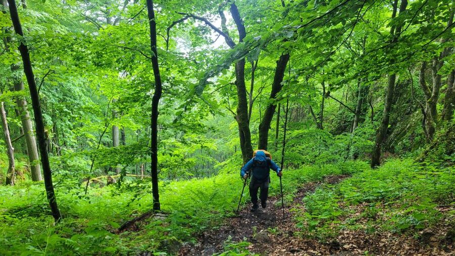From Cluj-Napoca: Apuseni Mountains Hiking Guided Day Tour - The return route, Sipote Waterfall, and Dumesti