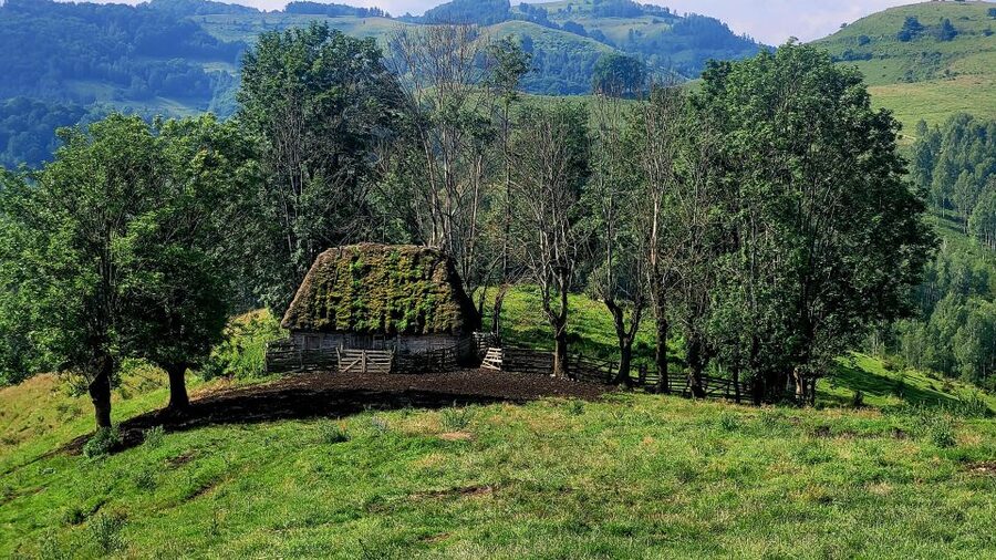 From Cluj-Napoca: Apuseni Mountains Hiking Guided Day Tour - A guide who pays attention to your pace