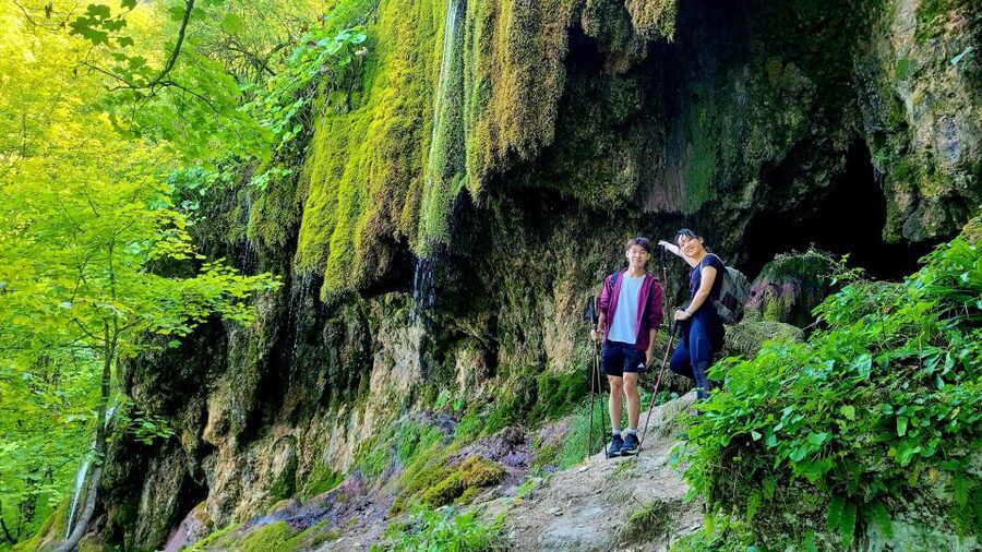 From Cluj-Napoca: Apuseni Mountains Hiking Guided Day Tour - The beech forest climb from Posaga de Sus