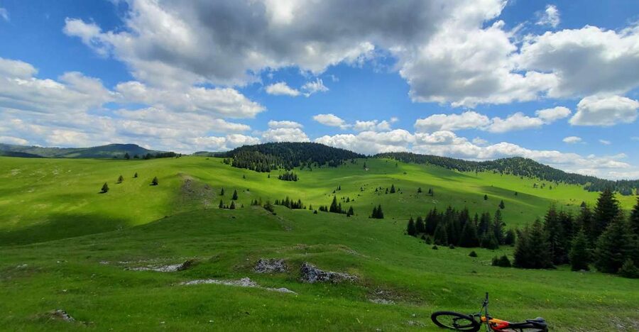 From Cluj-Napoca: Carpathian Mountains Guided Scenic Hike - Key points to know before booking