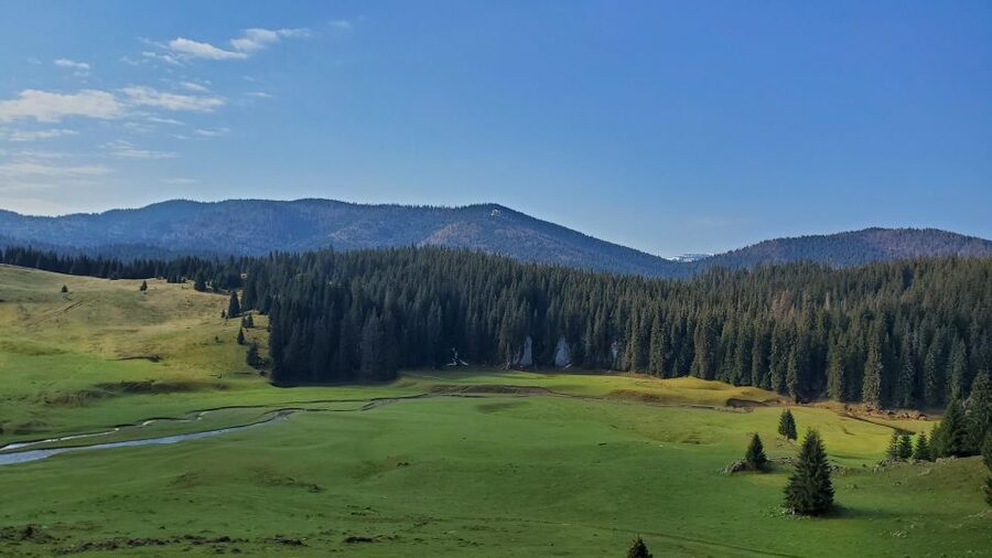 From Cluj-Napoca: Carpathian Mountains Guided Scenic Hike - Walking through Onceasa Valley and Glavoi