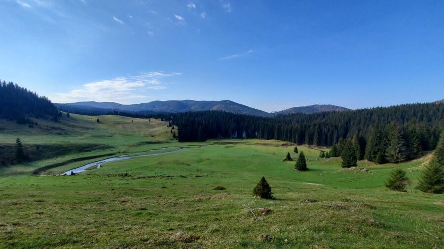 From Cluj-Napoca: Carpathian Mountains Guided Scenic Hike - Reaching Ponor Plain, the day’s main sight