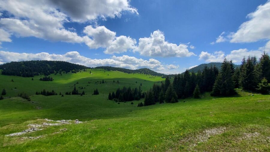 From Cluj-Napoca: Carpathian Mountains Guided Scenic Hike - Leaving Cluj early for Padiş