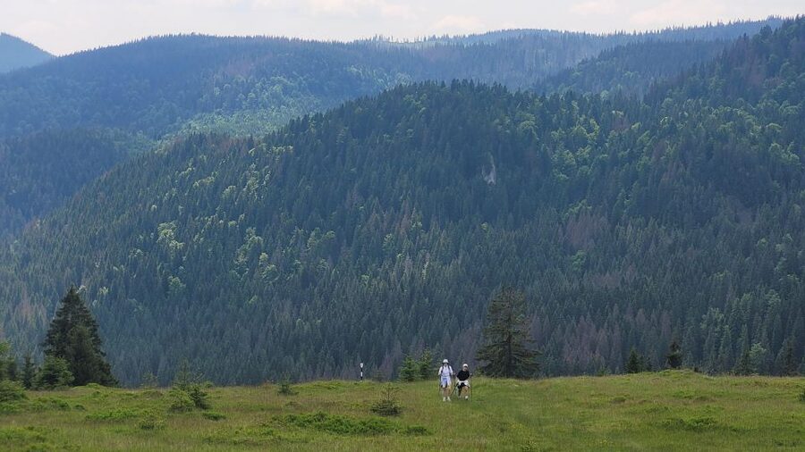 From Cluj-Napoca: Day Hike to Vlădeasa Peak - What the $115 price really covers