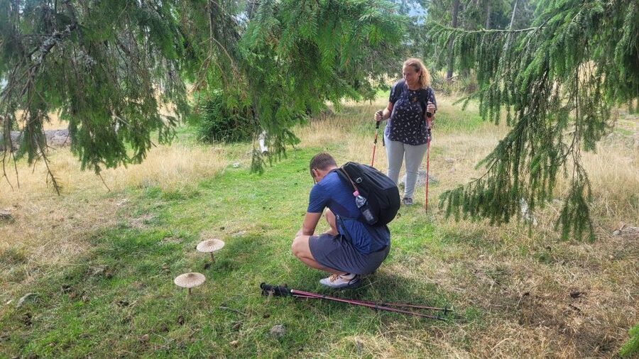 From Cluj-Napoca: Day Hike to Vlădeasa Peak - Small details that make the day work