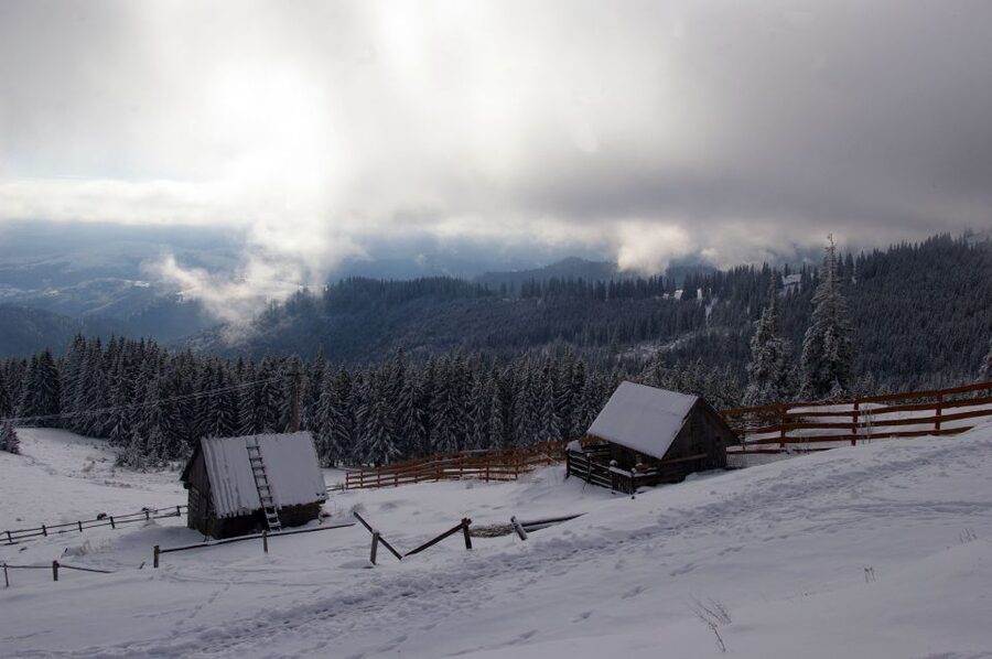 From Cluj-Napoca: Day Hike to Vlădeasa Peak - Rogojel village and the Sequoia stop