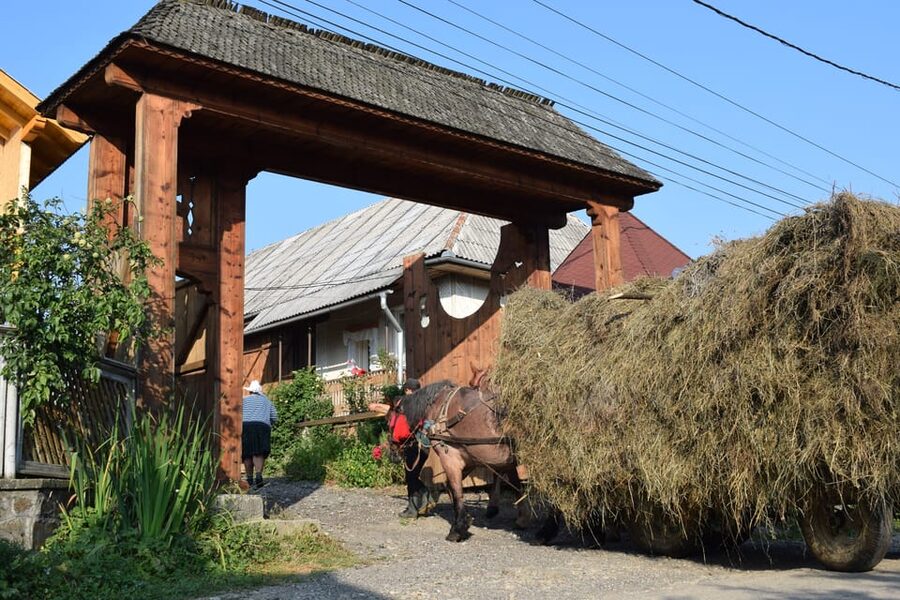 From Cluj-Napoca: Maramures Day Tour - Who will enjoy this Maramureș tour most