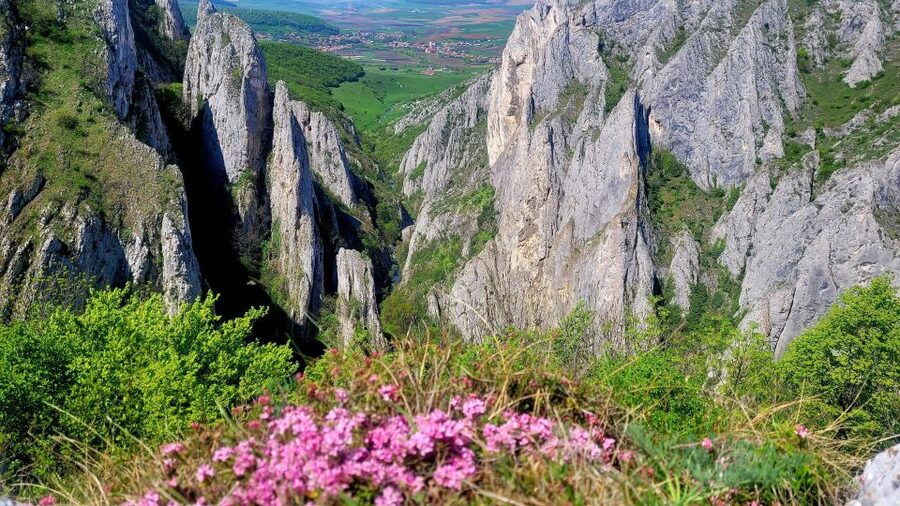 From Cluj: Turda Salt Mine, Gorge, and Remetea Full-Day Trip - Should you book the Turda Salt Mine, Gorge, and Rimetea trip?