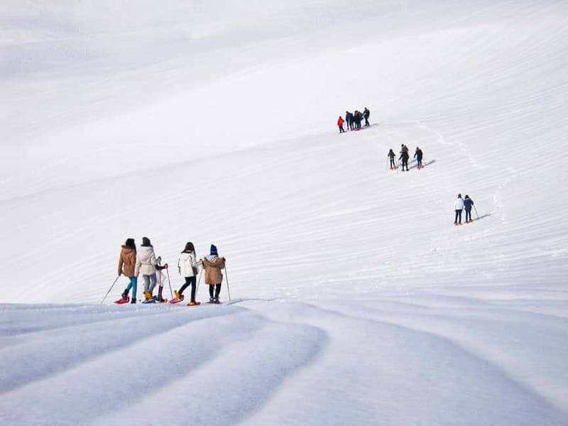From Cluj: Winter Walking Trip on the Great Mountain - Key points before you book