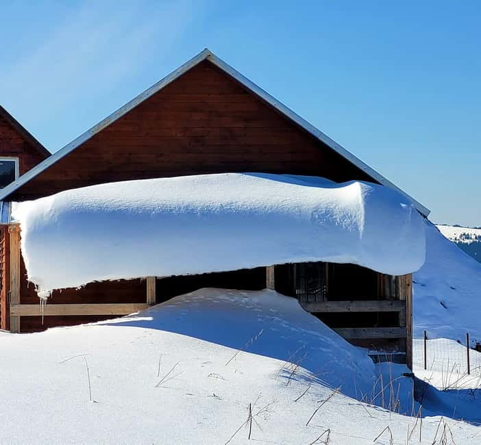 From Cluj: Winter Walking Trip on the Great Mountain - Hot tea, coffee, and a Romanian chocolate break