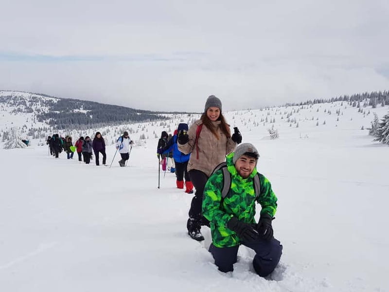 From Cluj: Winter Walking Trip on the Great Mountain - What Tudor adds to the outing