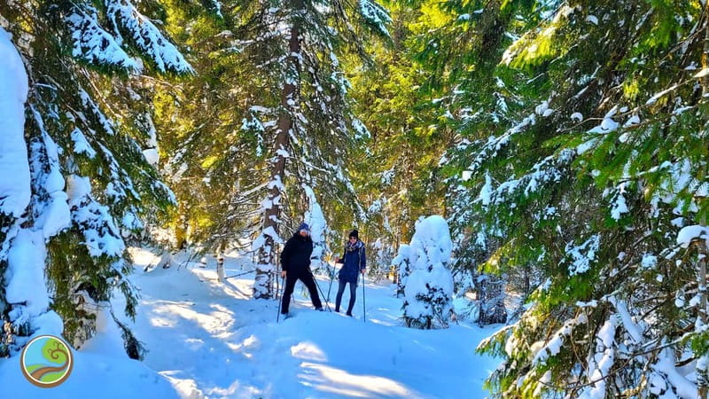 From Cluj: Winter Walking Trip on the Great Mountain - Fitting snowshoes over your boots