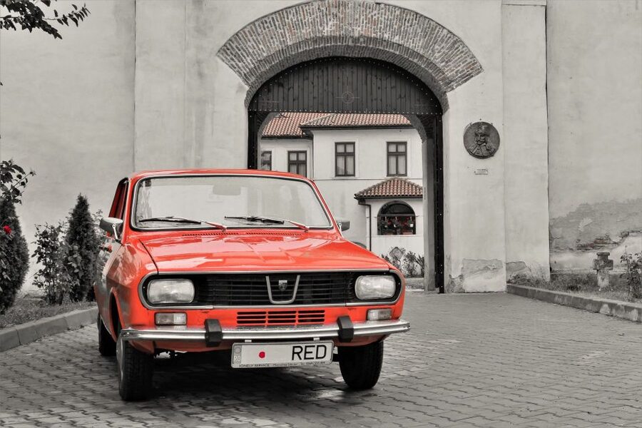 From Dracula to Ceaușescu- Romanian Terror Stories tour - Comana Natural Park adds a quieter final note