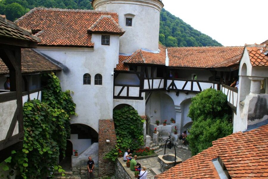 From Sibiu: Day Tour to Brasov and Dracula's Castle - Why this Sibiu day trip works