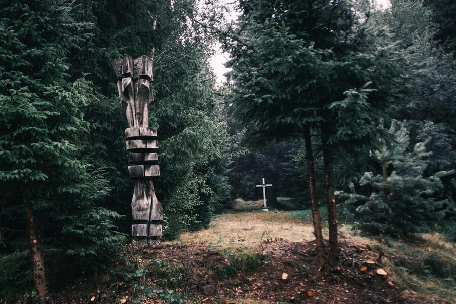 From Sibiu: Guided tour through the heart of Marginimea. - Gura Râului and the giant fir tree